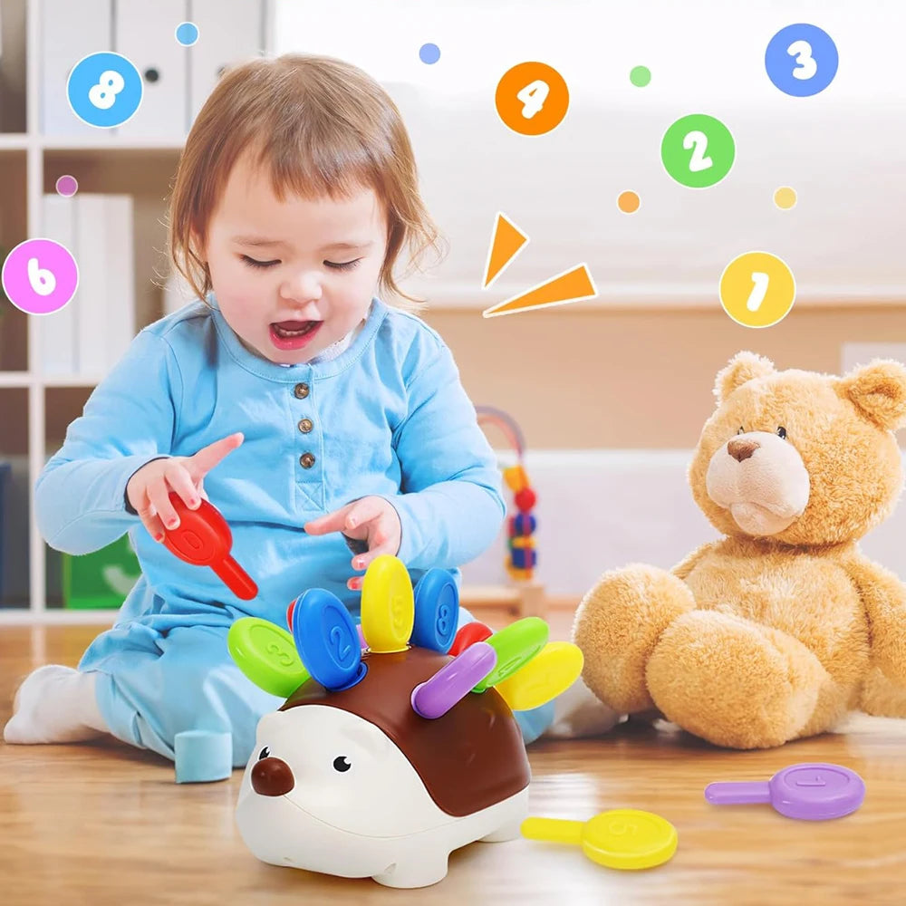Brinquedo educativo Montessori ouriço, brinquedos de coordenação motora para crianças , aprendizado de contagem e treinamento, desenvolvimento da concentração, sensorial